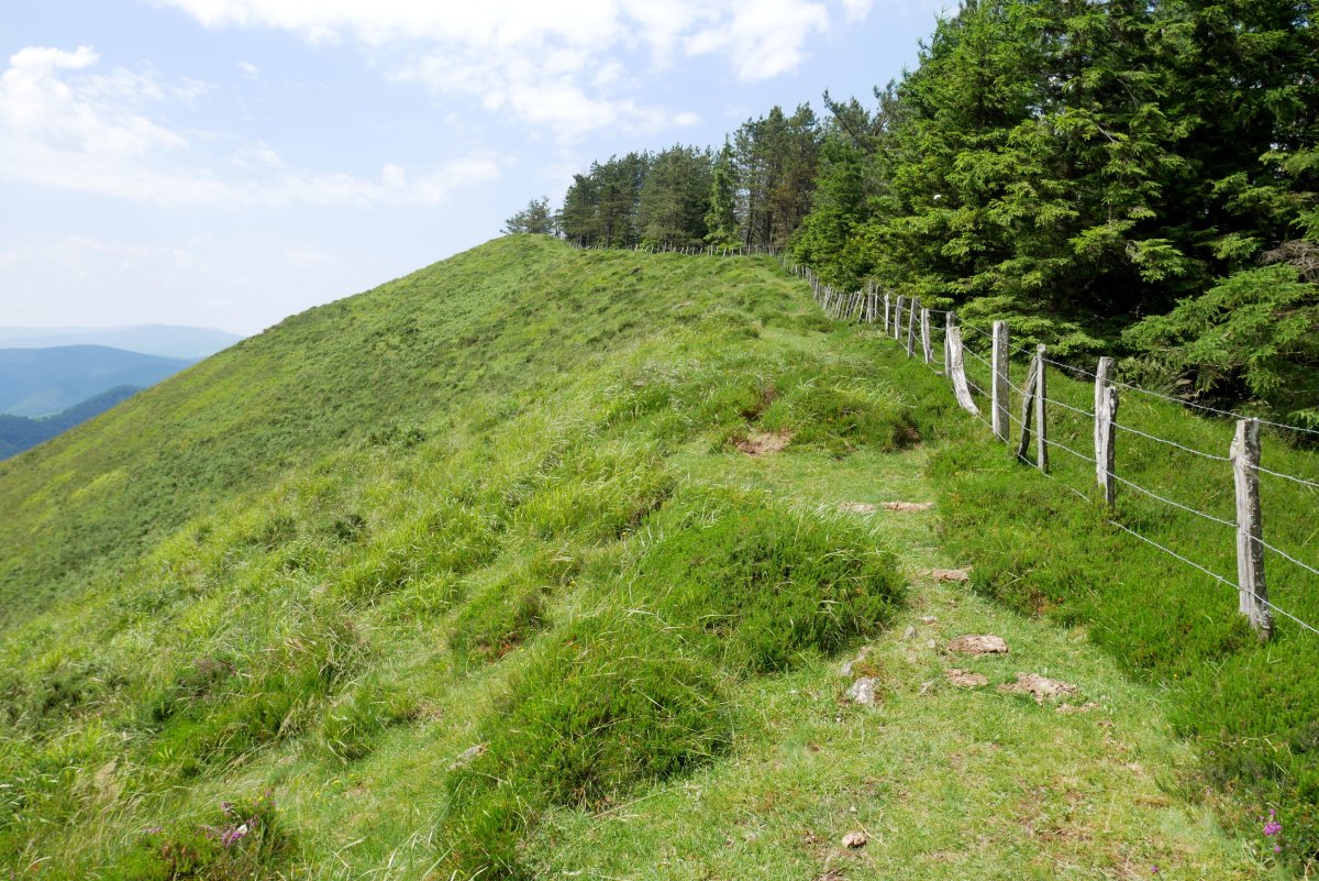 Altzegiko IEko bizkarreko bidea