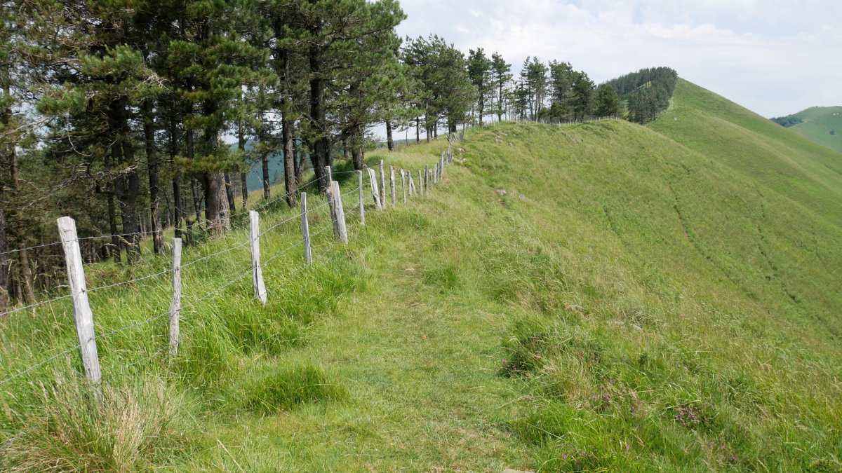 Altzegi HMko bizkarreko pasarte bat