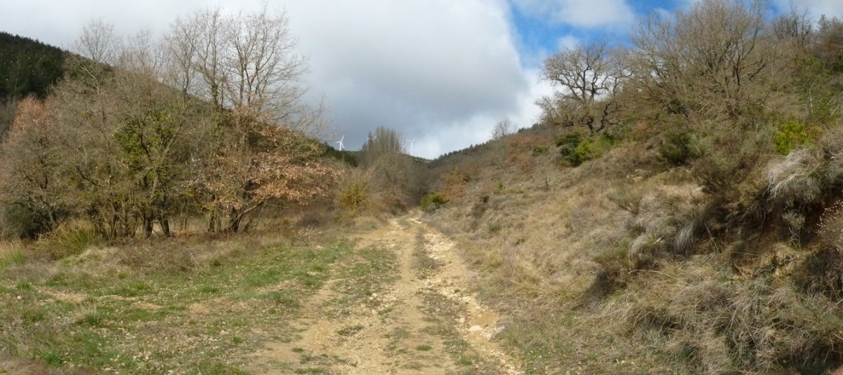 Santa Kolomako bidea