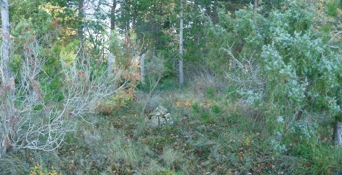 Axixuriko gailur itxia