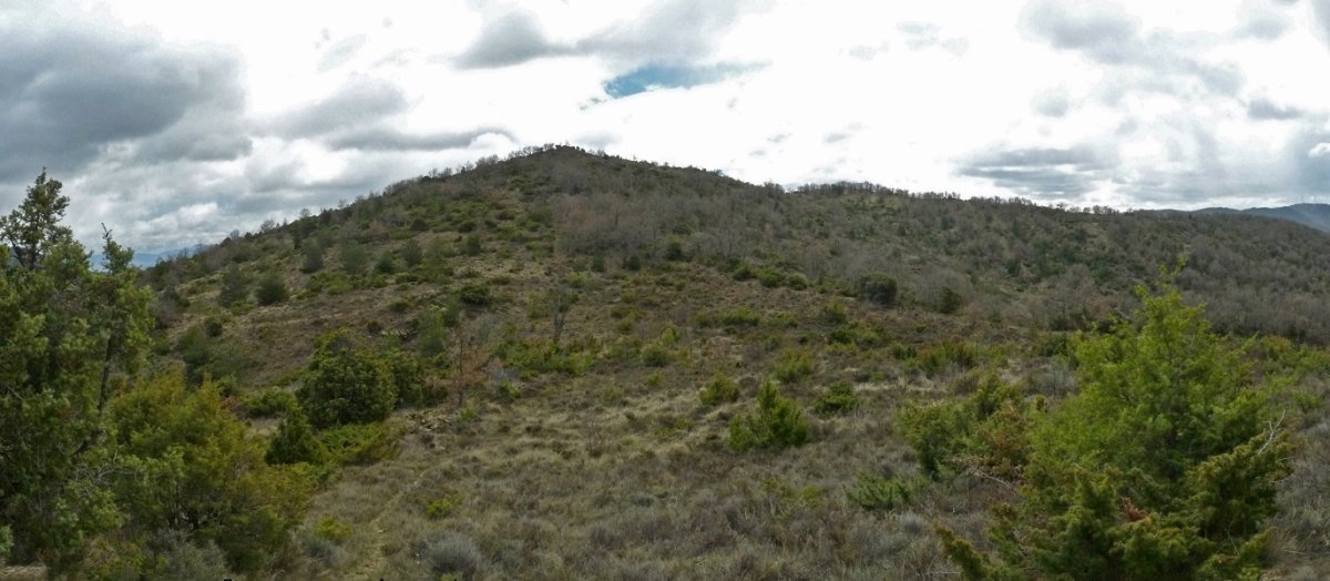 Gailurra, iparraldetik ikusita