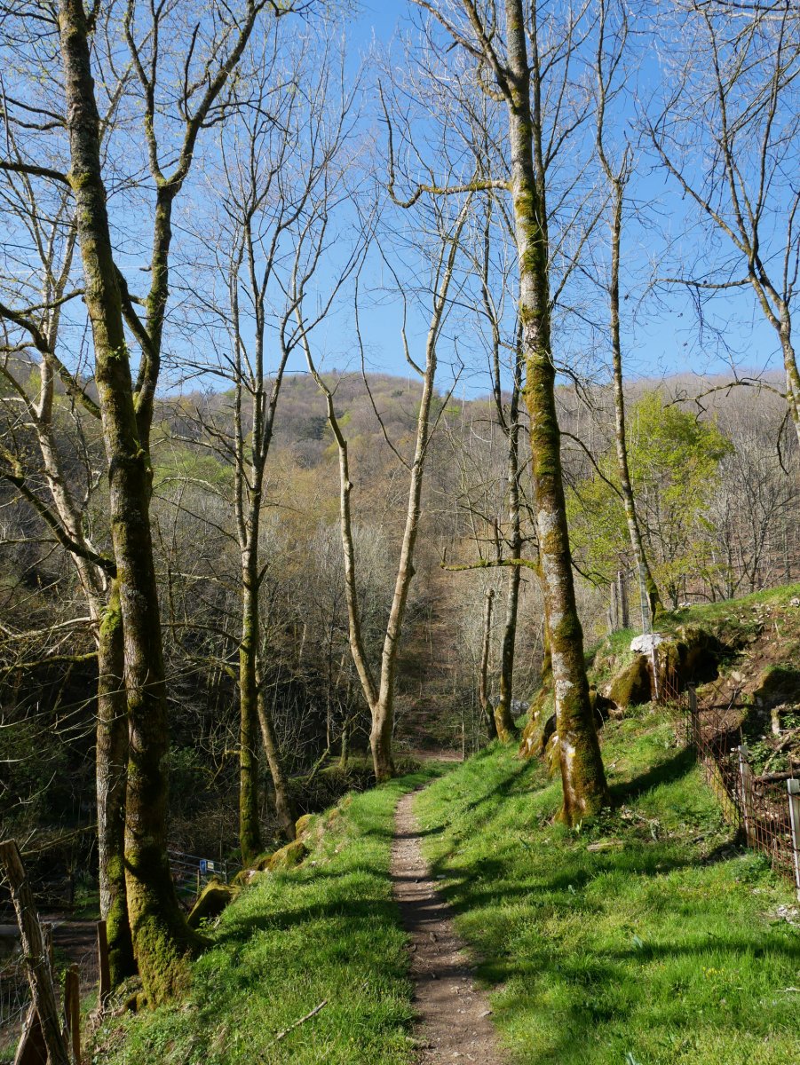 Xorrolako trenbide zaharraren arrastoan