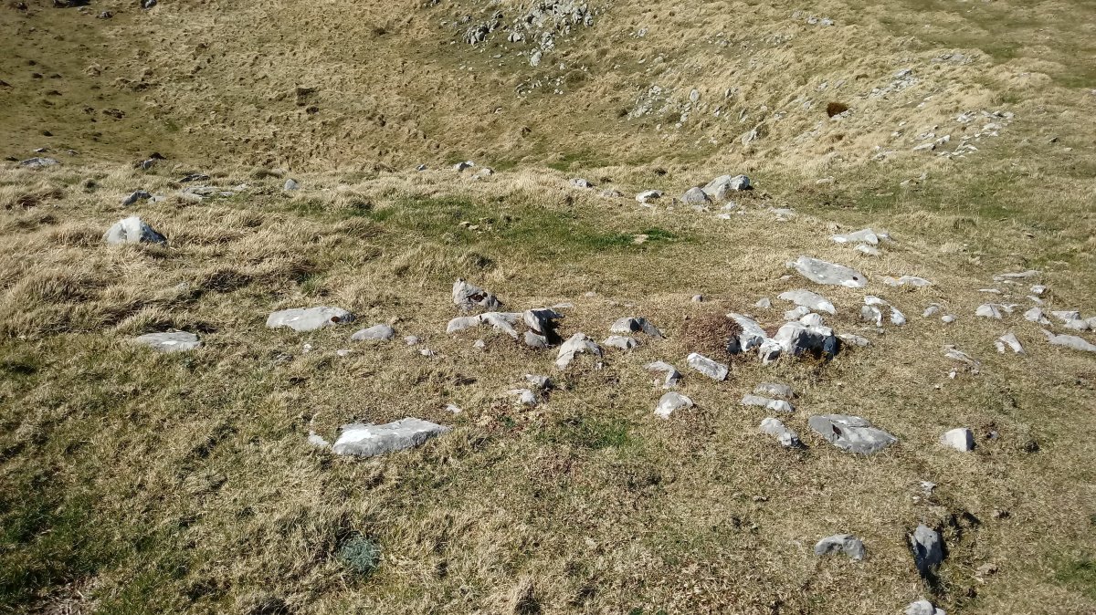 Abateko Lepoa tumuloa (2019)