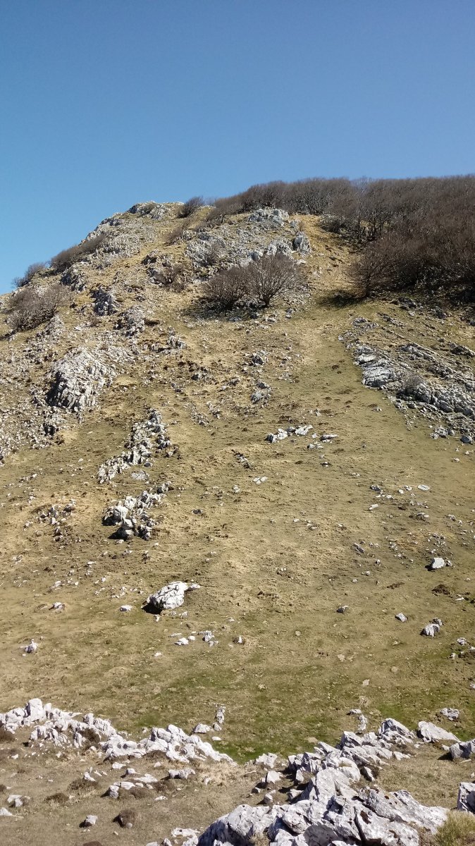 Ttutturregi (1292m) sartaldeko malda