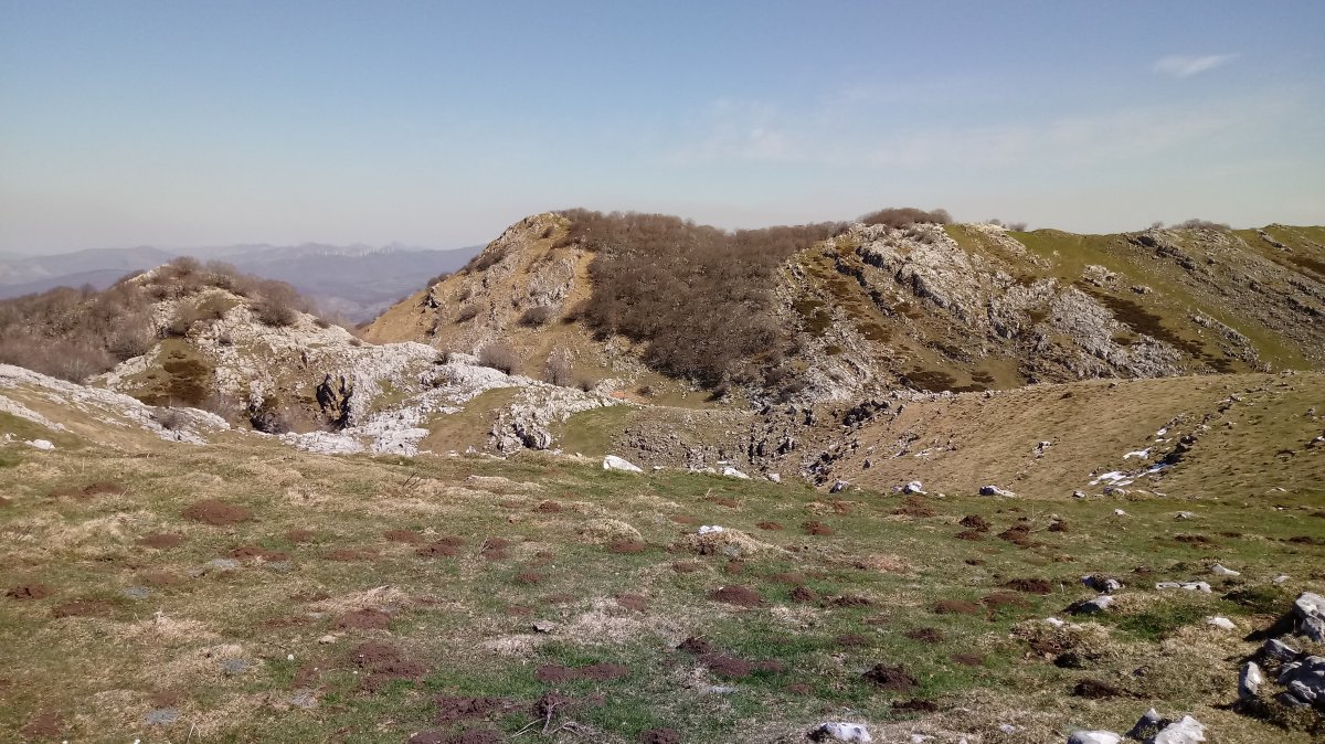 Ttutturregi (1292m) Atallaurretik ikusita