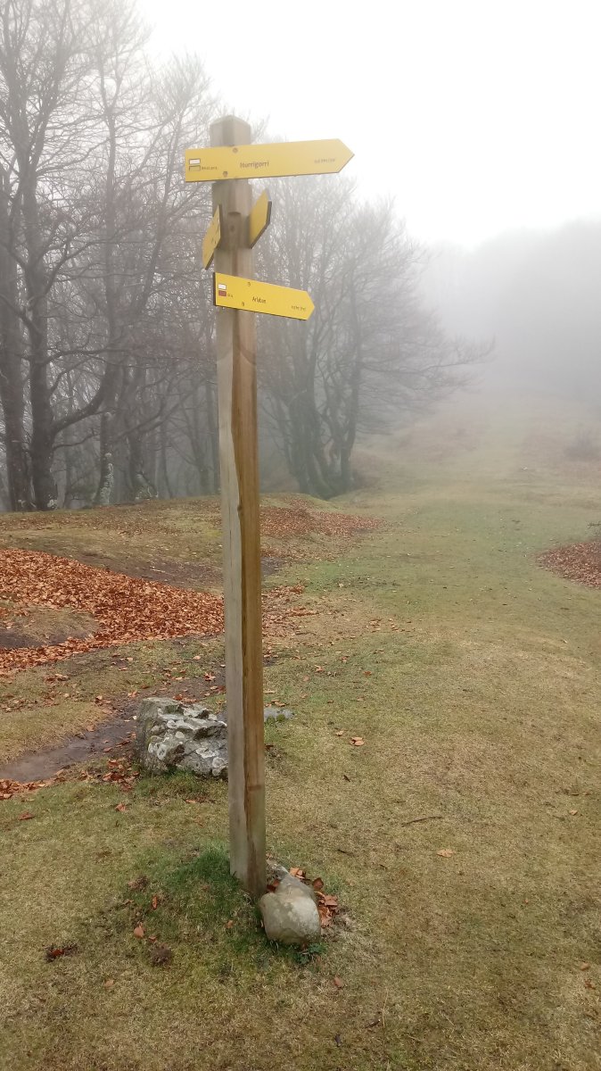 Burdingurutzeko Lepoa