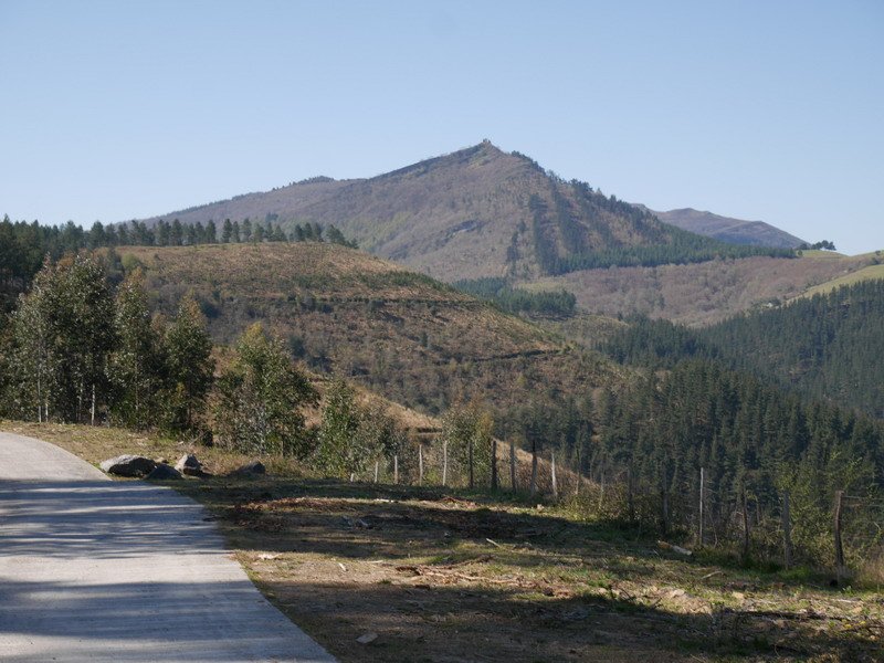 Kolitza La Porqueriza lepotik ikusita