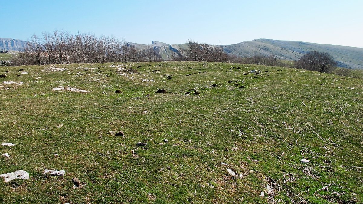 Gaztansao 2 eraztun tumulua, Urbasa