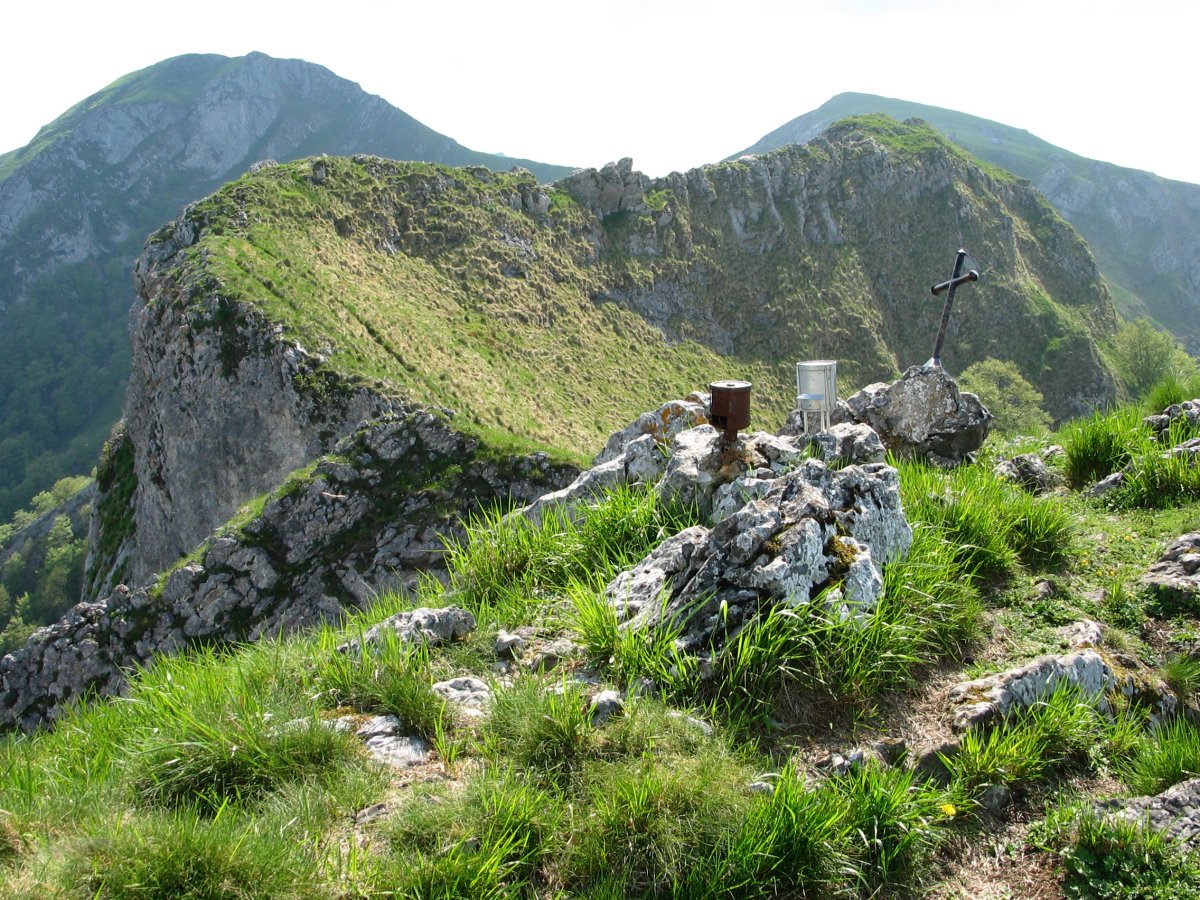 Tontorra eta gandorra