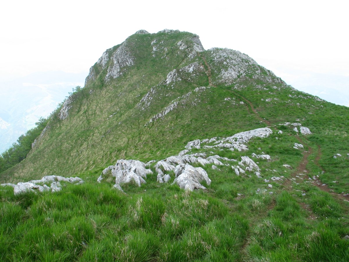 Tontorrerako bidea Artubi aldetik