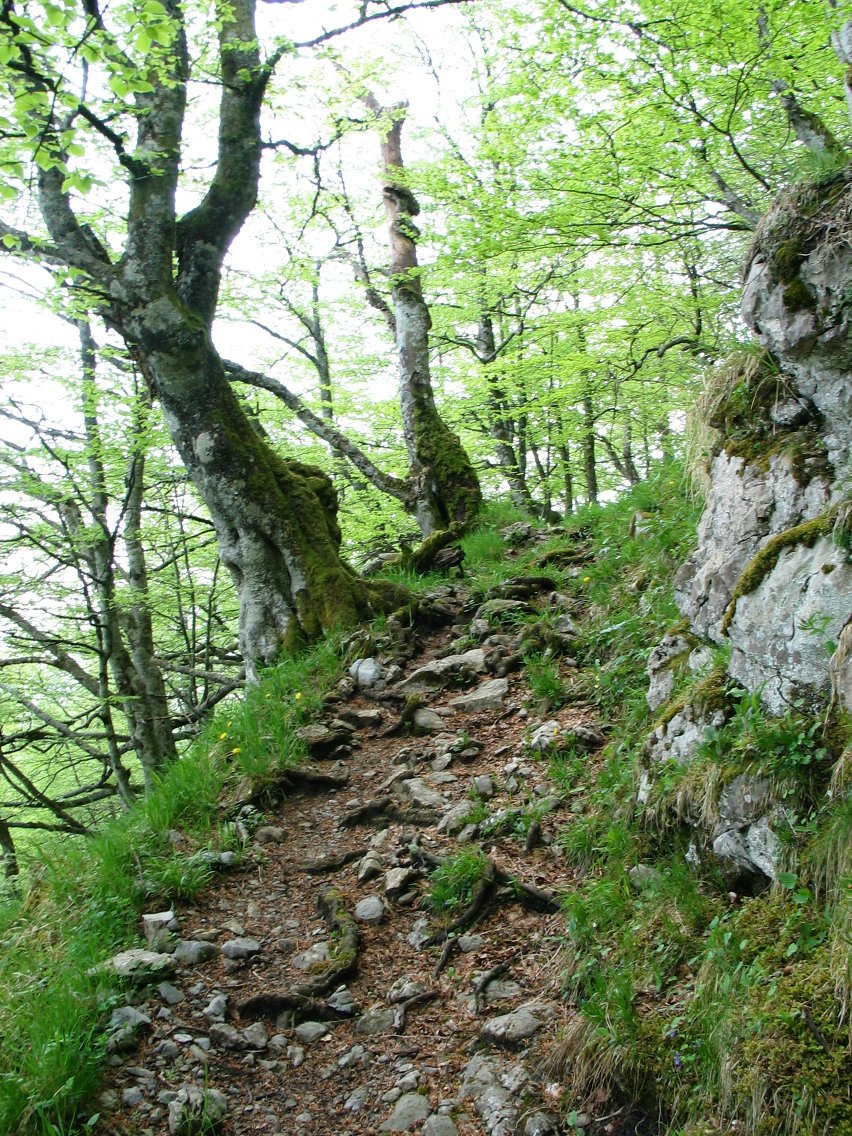 Larremear aldetik datorren bidea