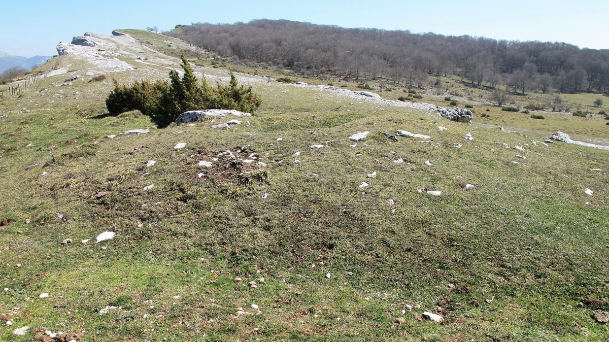 Etxarriko Portugañe 2 ekialde trukuharria, Urbasa