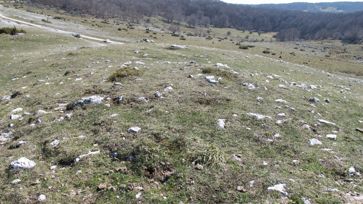 Etxarriko Portu Gañe tumulua, Urbasa