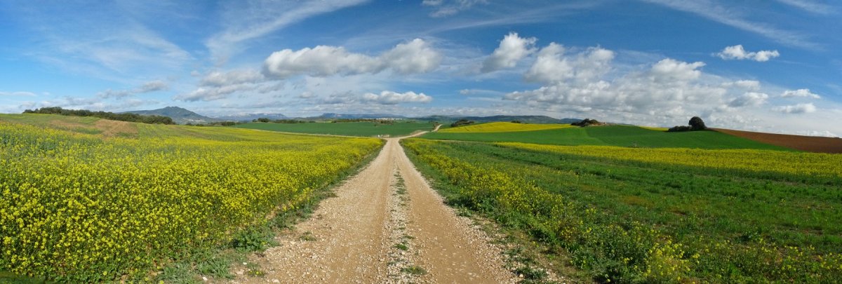 Larragako errepideko pista