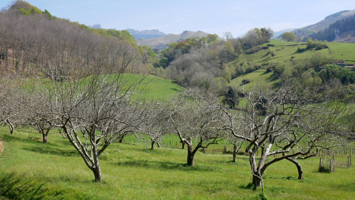 Pagoagalarre Karrika aldetik