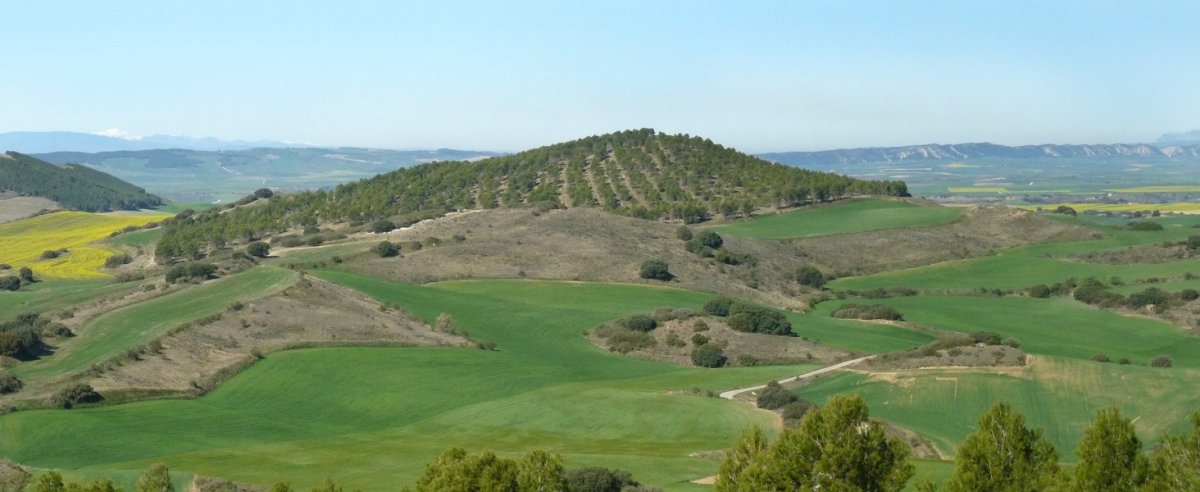 Ventura gaina, San Lorentetik mendebaldera