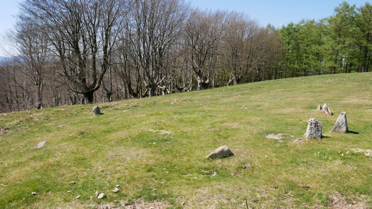 Basateko harrespil bat