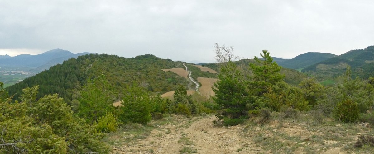 Txaparral mendia, Ollankotik