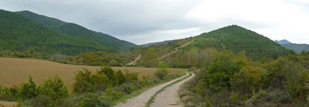 Ollankoa/San Migel mendia