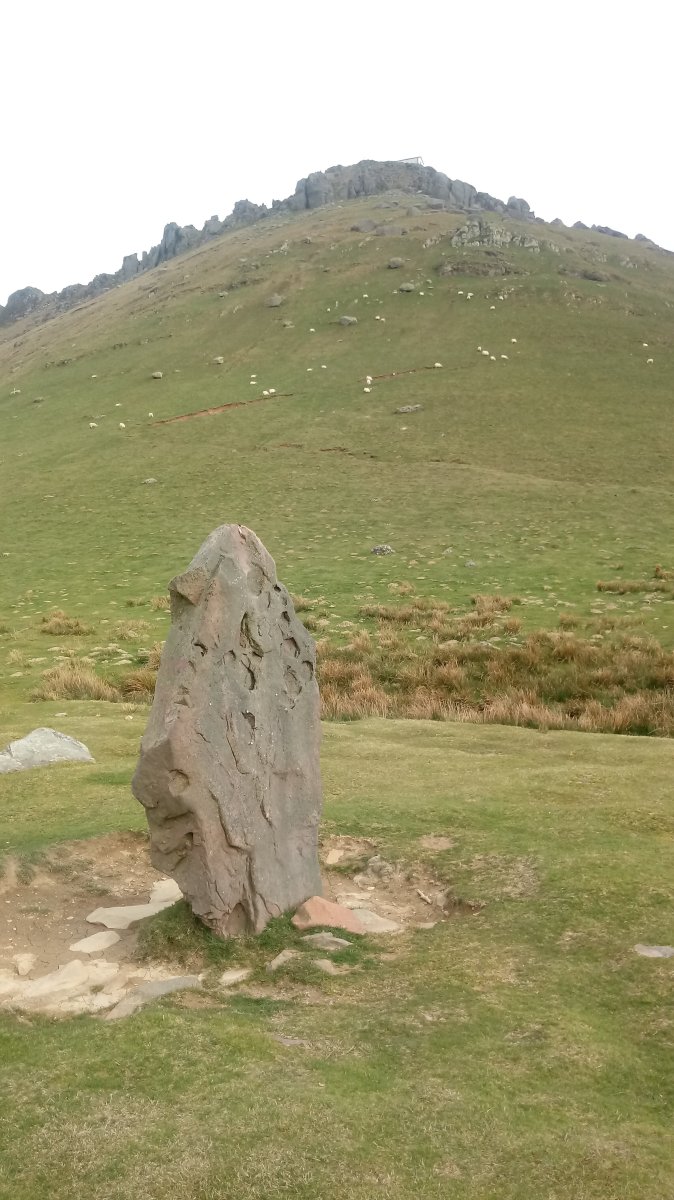 Buztizko Lepoa zutarria (2019)