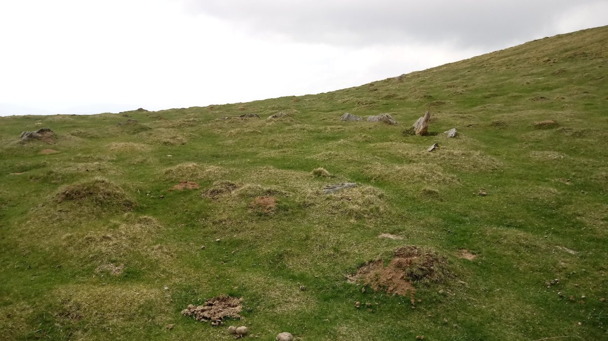 Gartzagako Lepoa harrespila 3