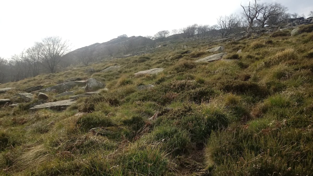 Atzurdiko Punta (1004m) leporako jeitsiera