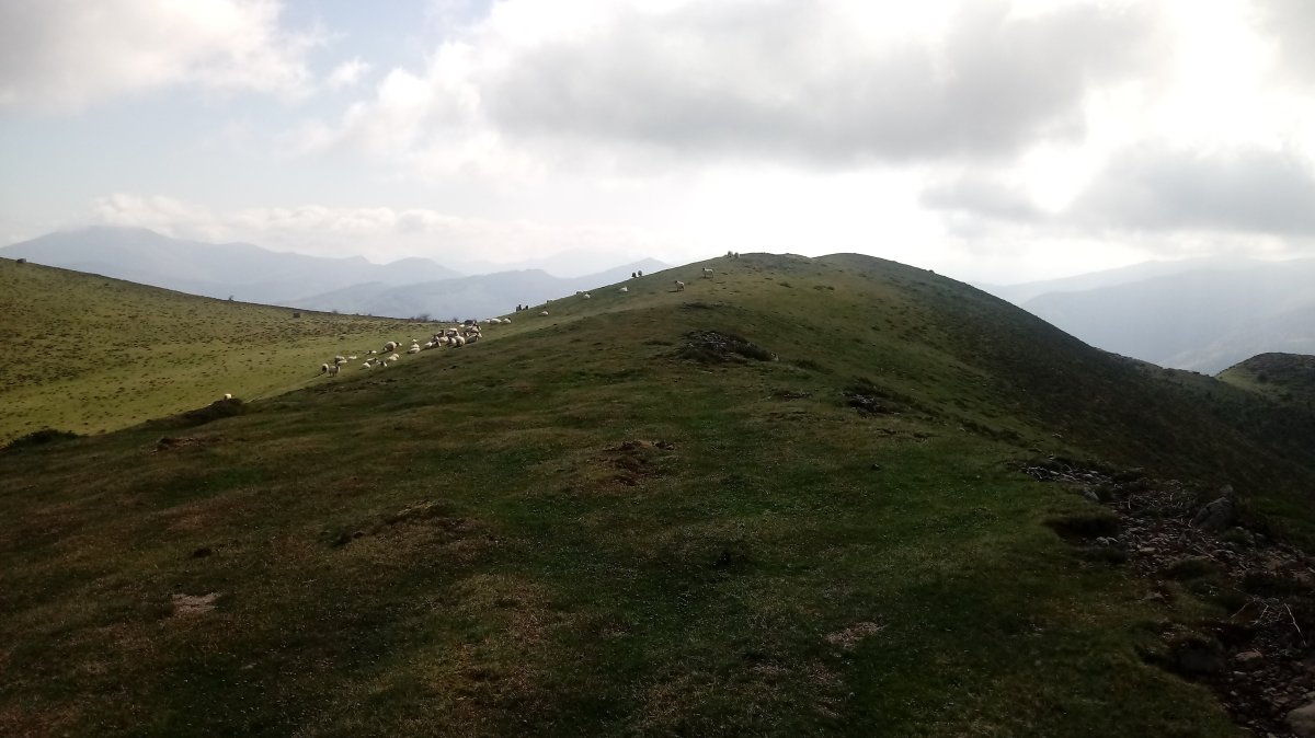 Elorriaga (1045m) tontorra
