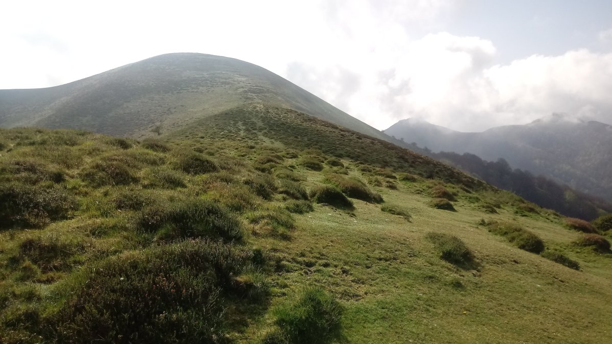 Elorriaga (1045m) Altzuetako lepotik ikusita