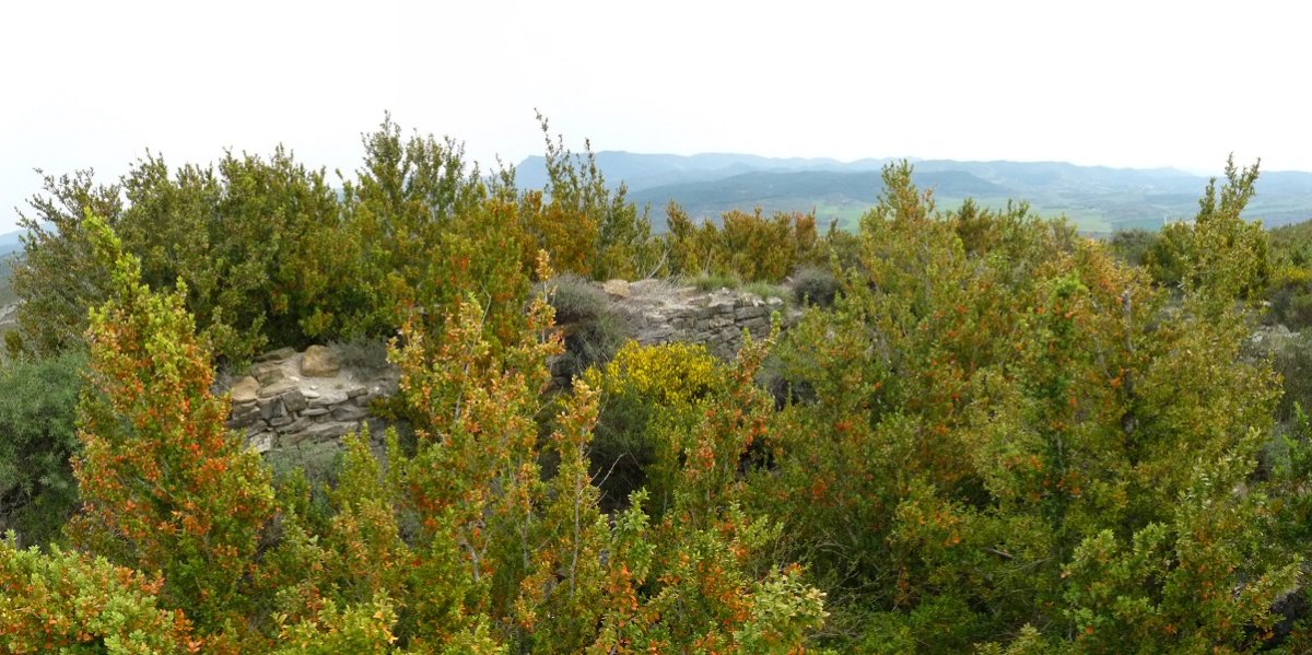 Santa Kruz ermitaren hondakinak