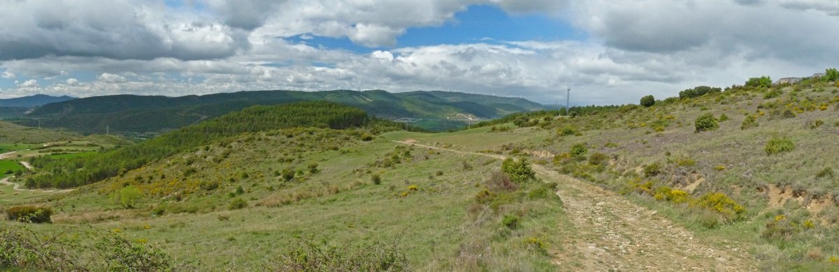 Bizkarrean gora doan bidea