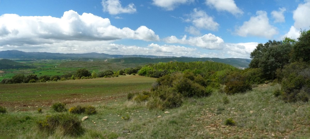 Raso de la Matako gainaldea