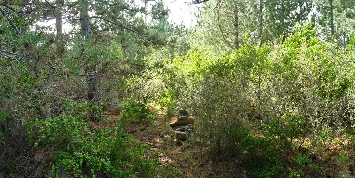 Burdisibarko gailurra