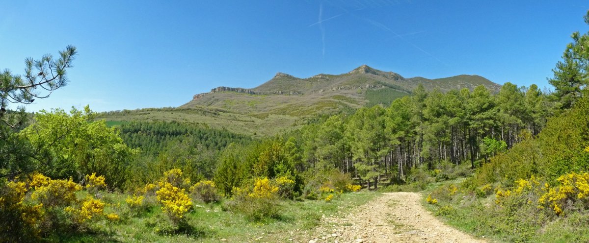 Santa Agata eta Ganbella gainak, basoaren gainean