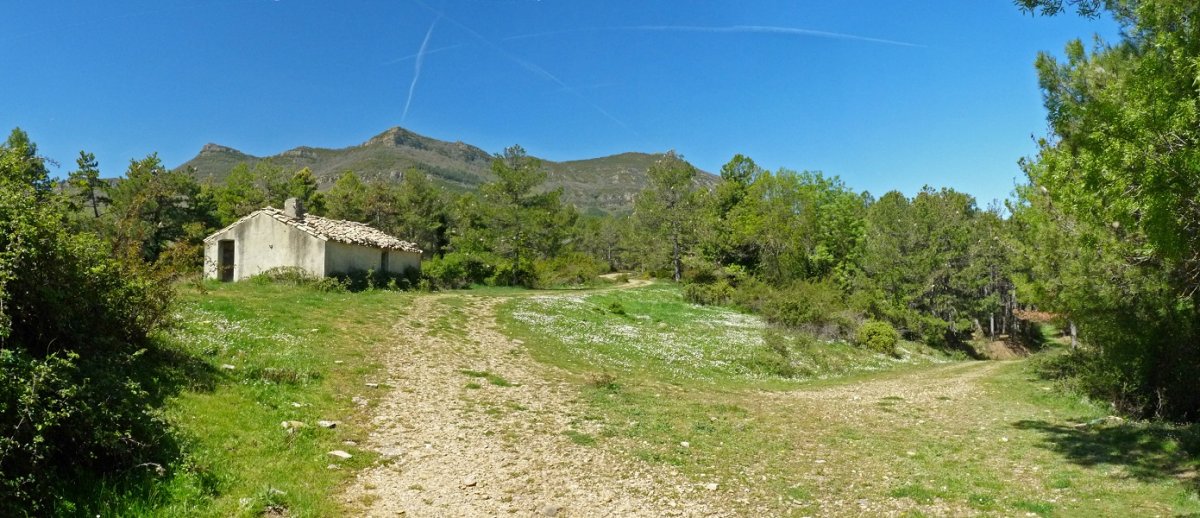 Izanozko etxe bakarra