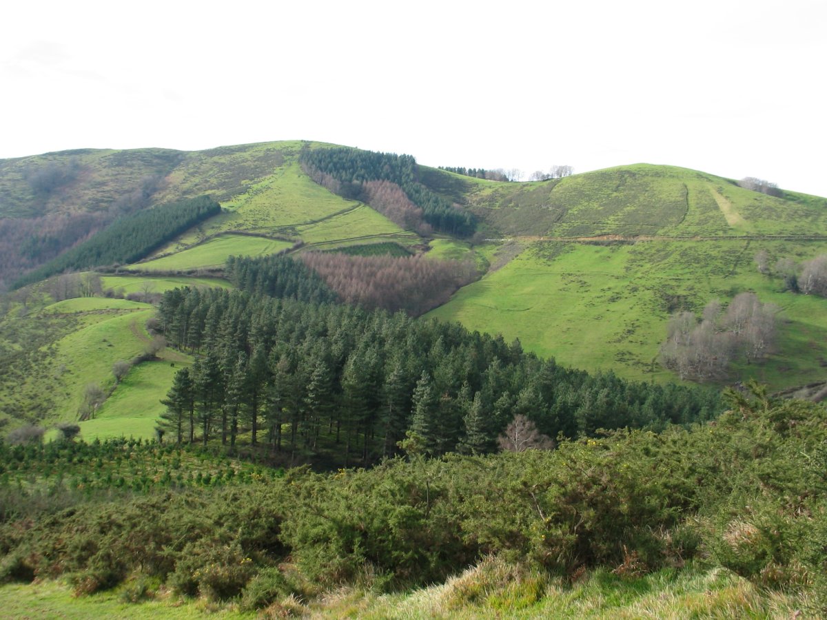 Iparraldeko isurialdea