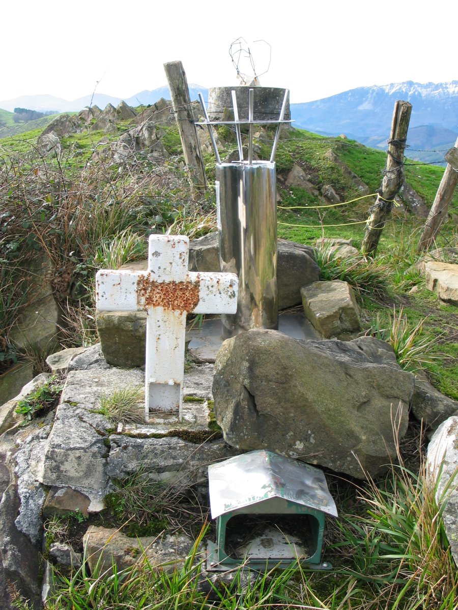 Hiru buzoi leku berean