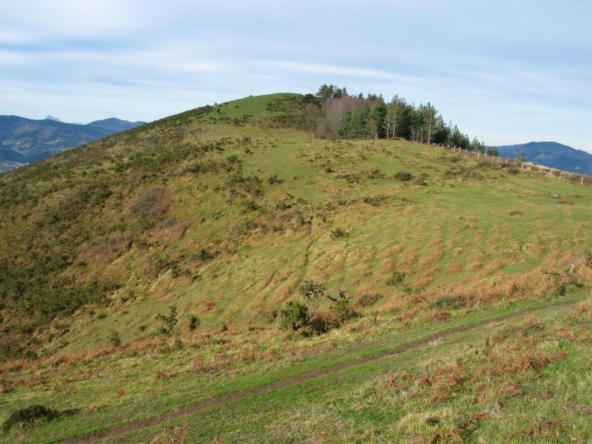 Hegoaldeko gandorretik