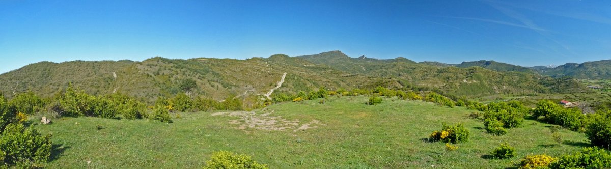 Picalvo mendiko gailurra