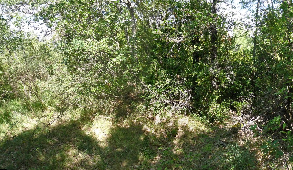 Eretako gailur itxia