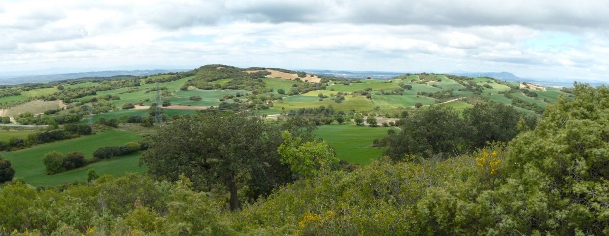 Lobera eta Otsondoa gainak