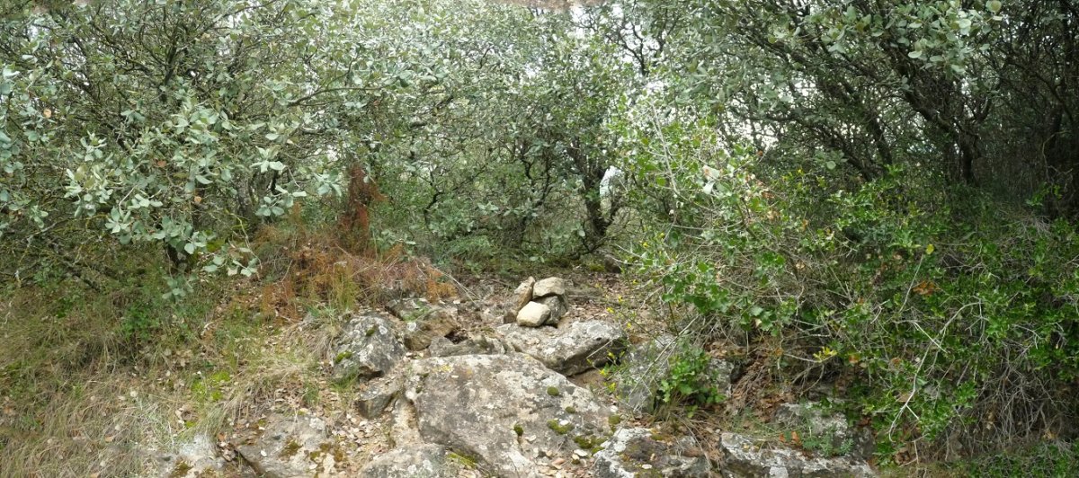 Lobera gaineko gailurra