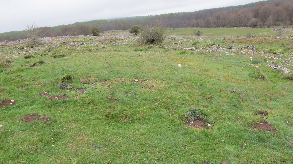 Tximista 5 etxola hondoa, Urbasa