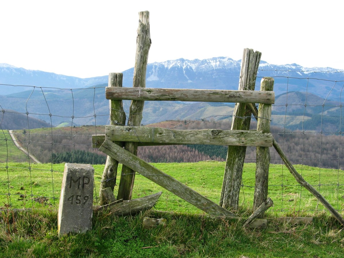 Harpausoa bizkarreko hesian