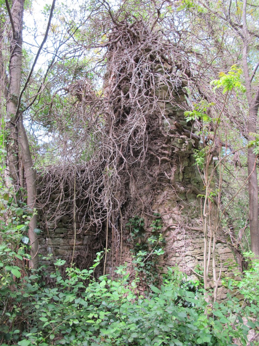 San Juan de la Penitencia ermitaren hondakinak, Gares