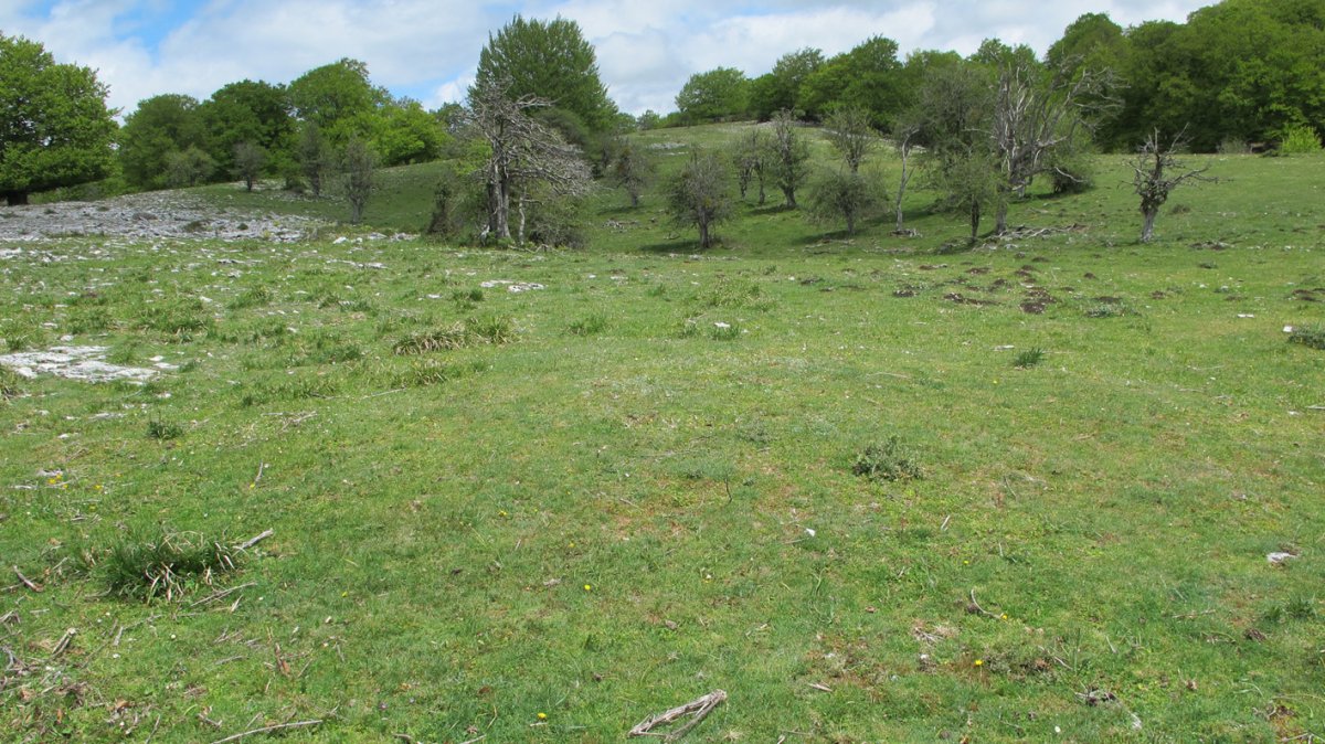 Arantzadia 2 etxola hondoa, Urbasa