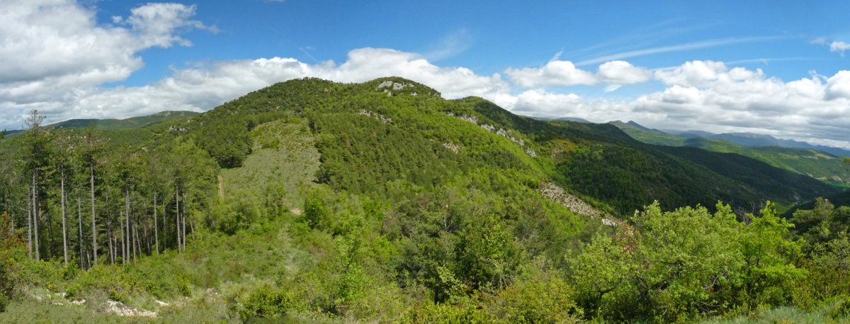 Belogain Santa Kruzetik