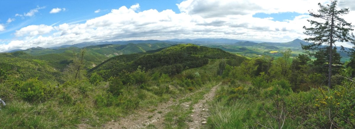 Txorrotxagako gainaldea