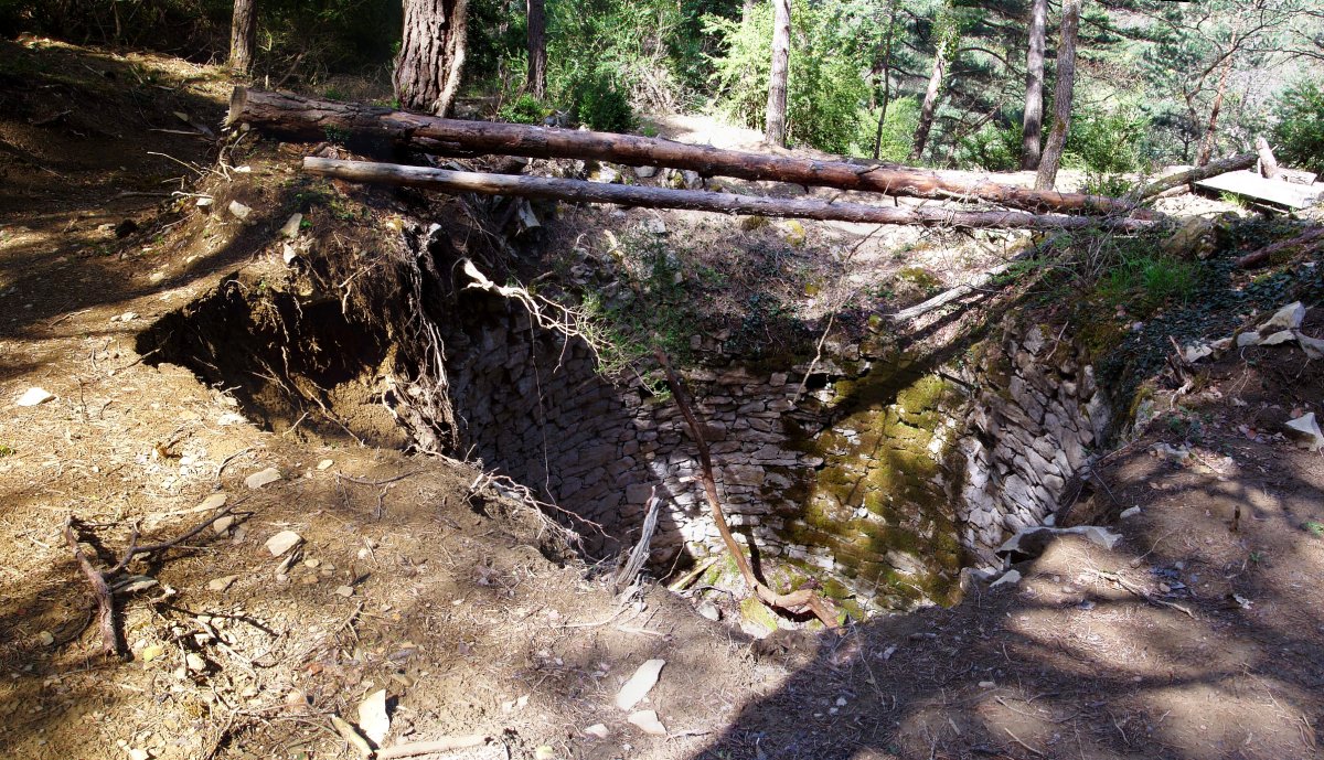 Elurzuloa Txorrotxagan