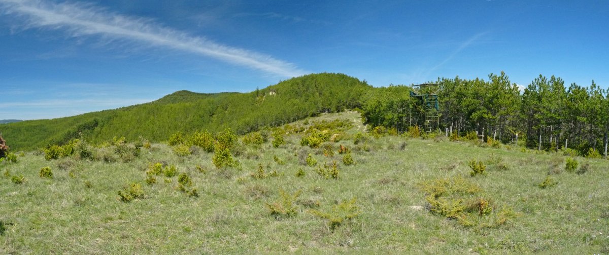 Olaberriko bidea, Garbalaxar mendian 