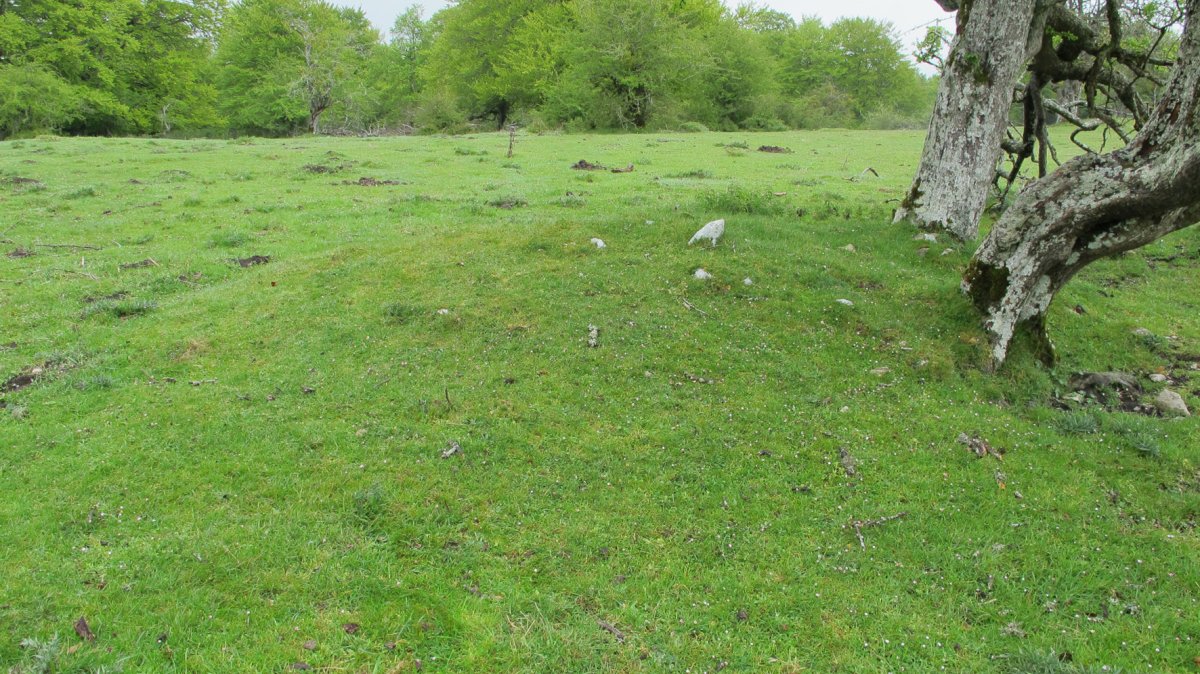 Arantzadia 5 tumulua, Urbasa